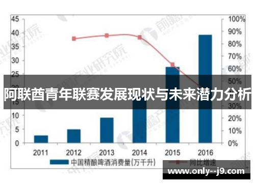 阿联酋青年联赛发展现状与未来潜力分析