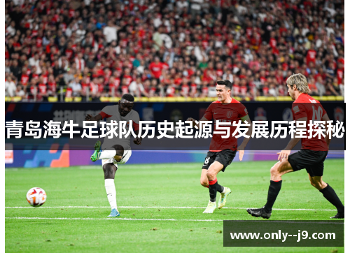 青岛海牛足球队历史起源与发展历程探秘 青岛海牛足球队历史起源与发展历程探秘